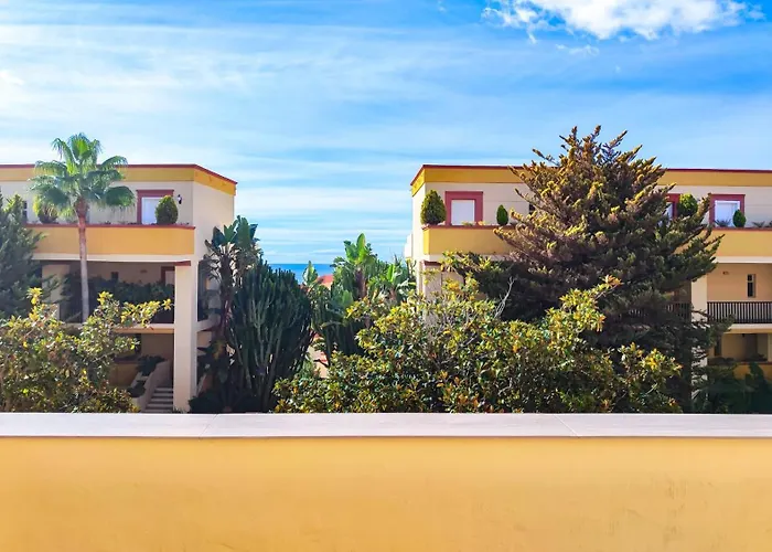 Oleholidays 226 Romana Playa Primera Linea De Mar